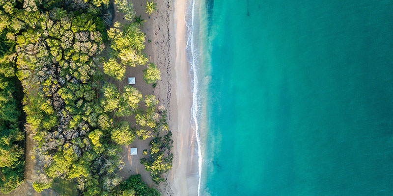 Quand partir voyager en Guadeloupe ?